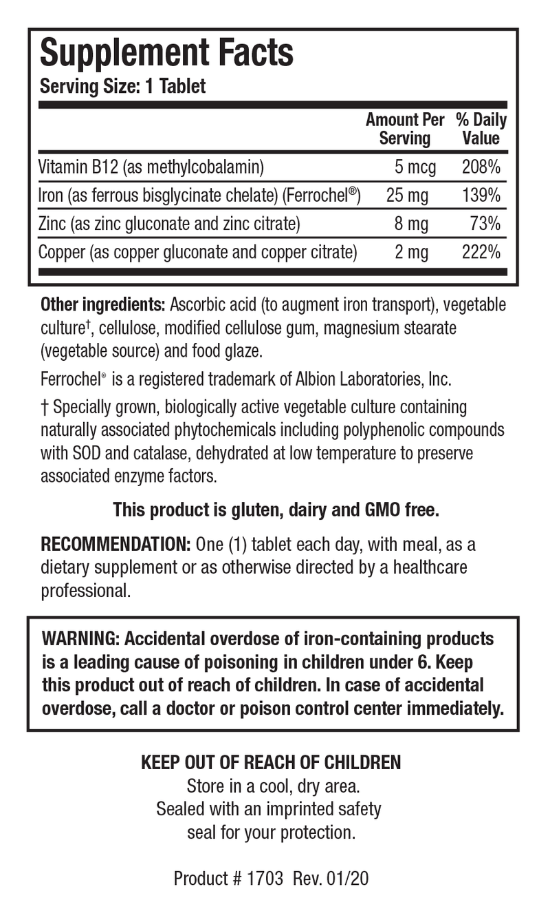 Biotics Research Fe-Zyme 100 Tablets  2 Pack - www.myworldwo.com