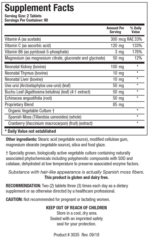 Biotics Research Renal Plus 180 Tablets - www.myworldwo.com