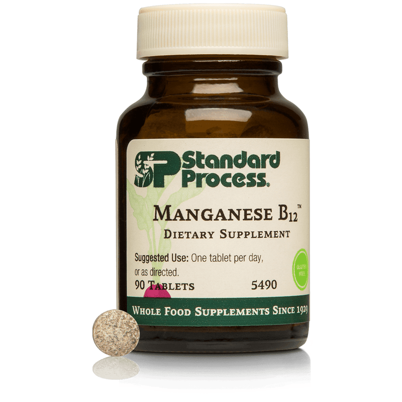 Standard Process Manganese B12 90 Tablets 2 Pack - www.myworldwo.com