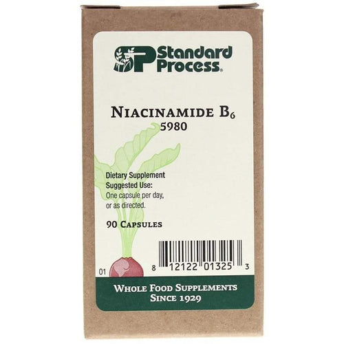 Standard Process Niacinamide B6 90 Capsules 2 Pack - www.myworldwo.com